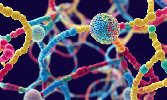 Are Short Chain Fatty Acids The Gut-Microbiome Superhero?
