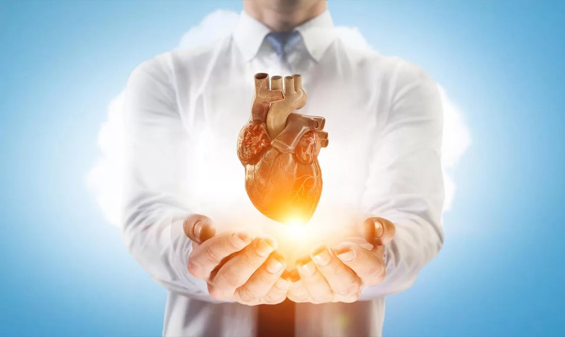 The Heart-Gut Axis: Are Your Gut-Microbiome And Heart-Health Connected?